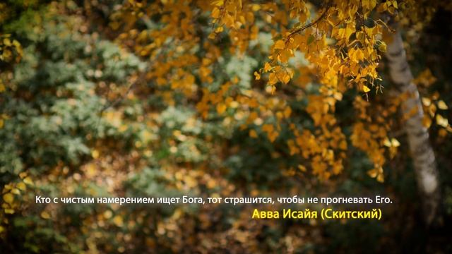 2020 10 08 Цитаты святых смотреть онлайн
