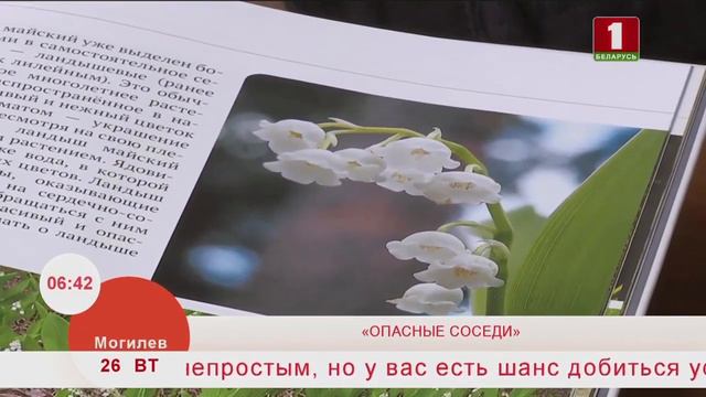 Новые тома "Белорусской детской энциклопедии" о растениях, которые может собрать каждый. смотреть онлайн