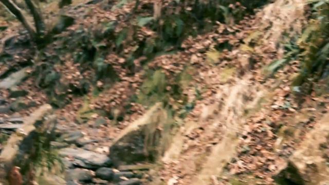 Sonnet 64 Short Film смотреть онлайн