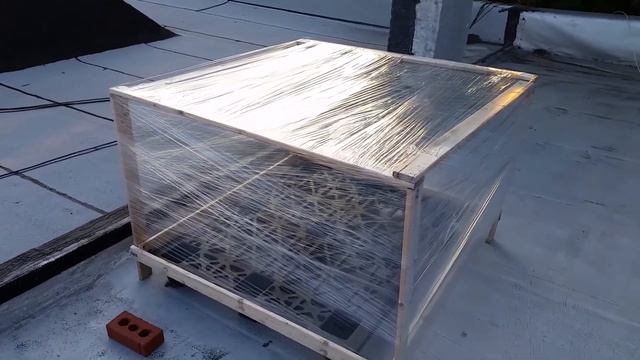 Garden Prototype: 005 смотреть онлайн