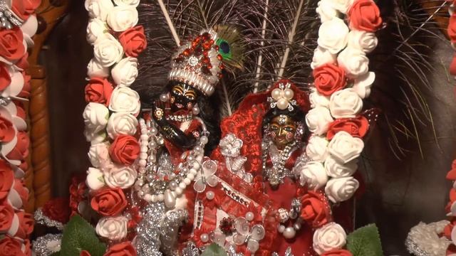 14.11.2021 Kartika Home altar ISKCON Dnipro Ukraine смотреть онлайн