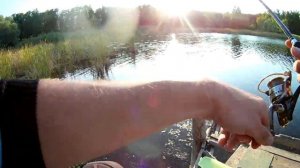 Ловля щуки на воблер  Jackall Magallon. Твичинг.