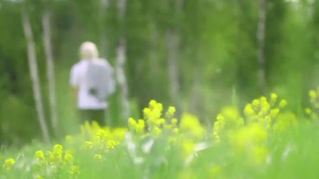 Александр Ходочинский "Белая черёмуха" смотреть онлайн