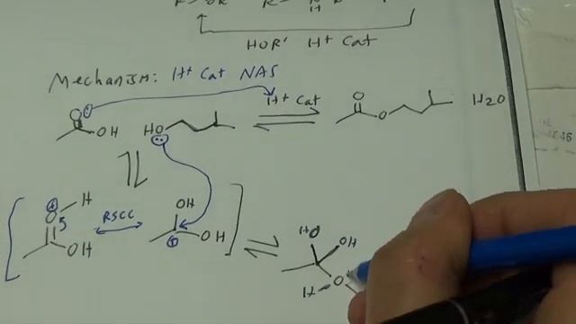 chem335 lecture [4-13-21]: ch19 (NAS part 2) смотреть онлайн