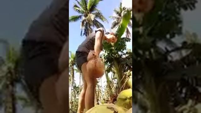 Coconut Queen. So Awesome. смотреть онлайн