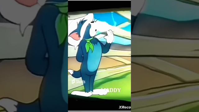 том и джери эдит смотреть онлайн