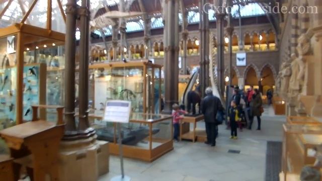 Калейдоскоп Зрения