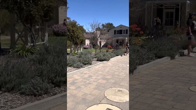 Ландшафтный Дизайн у БоГатого Дома смотреть онлайн