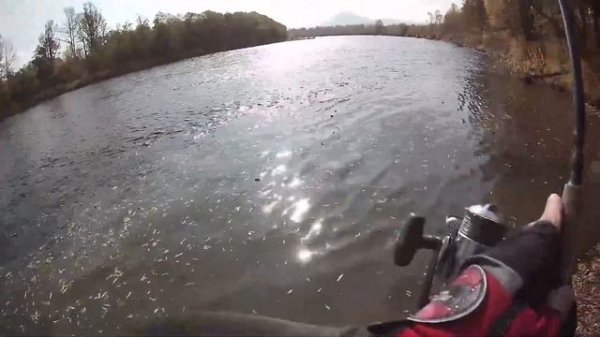 Ловля кижуча на Камчатке. Тревел спиннинг Shimano Exage