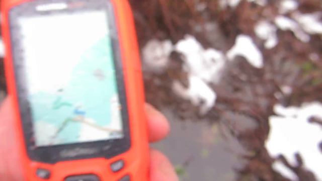 С лайками в декабре как весной