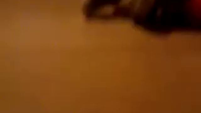 pisen pro lps misu a lps natasu смотреть онлайн