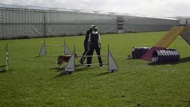 Juice training Lee Gibson смотреть онлайн