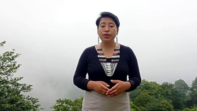 The Origin Story by Asani Victoria/ Kohima district/1st Nagaland folktale story telling competition смотреть онлайн