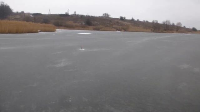 Рыбалка Зима 2020 Комсомолец малый прду Белгородская обл. 25.01.20 смотреть онлайн