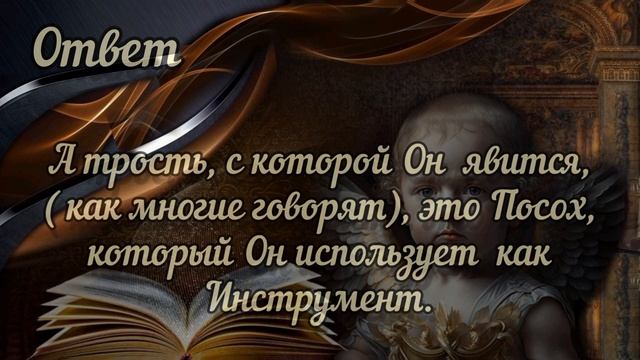 ГРЯДУЩИЙ ЦАРЬ ЯВИЛСЯ. Ответы на вопросы про Грядущего Царя. Грядущий Правитель. #грядущийцарь смотреть онлайн