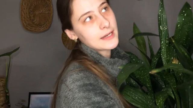 FOLIAGE FRIDAY | Ep. 48 — How I Care for Aspidistra elatior 'Milky Way' (Cast Iron Plant) смотреть онлайн