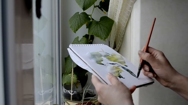 Быстрый скетч с натуры Огурцы. Speed painting. смотреть онлайн