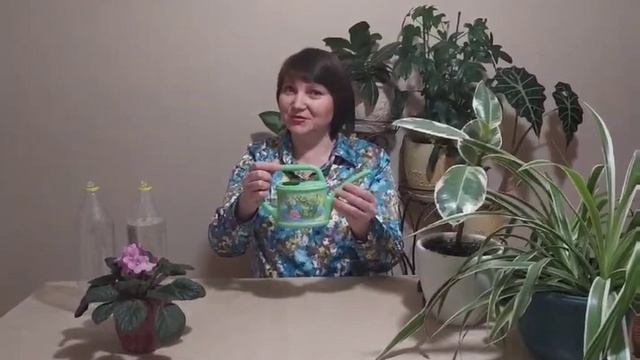 ? Знакомство с комнатными растениями. смотреть онлайн