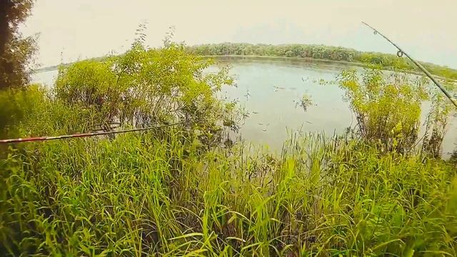 Рыбалка. Новгородская область смотреть онлайн