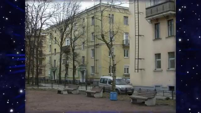 Морда моя. смотреть онлайн
