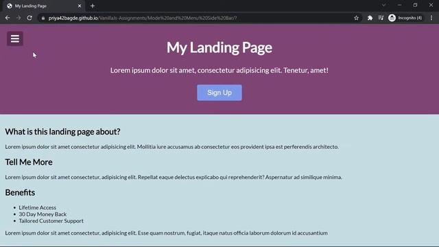 Vanilla Js Model and Side Bar смотреть онлайн