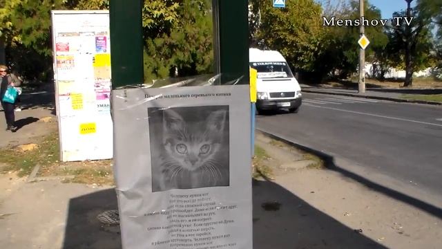 Херсон: предложение котёнка в стихах 9.10.2018 смотреть онлайн