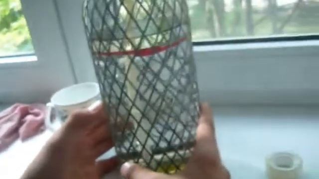 сифон СССР первые пробы приготовления газированной воды смотреть онлайн