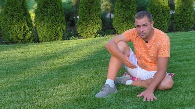 Как часто нужно стричь газон и почему, когда, зачем? Уход за газоном, сколько раз в неделю. смотреть онлайн