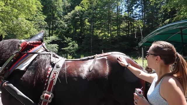 Замок Нойшванштайн (Neuschwanstein) Германия. Озеро в Альпах. По Германии на авто
