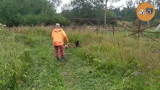 Староладожский канал смотреть онлайн