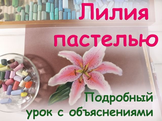 Как нарисовать лилию пастелью. Мастер-класс с подробным объяснением. Виктория Цуканова. смотреть онлайн