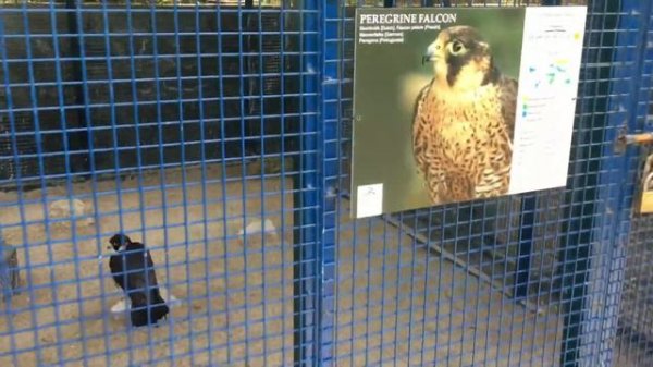 JA Beach Hotel in Dubai UAE