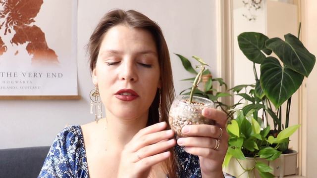 14 Plantes l Un mois riche en pousses et expériences! смотреть онлайн