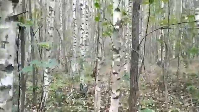 Господи помилуй..... смотреть онлайн