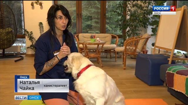 Канистерапия смотреть онлайн