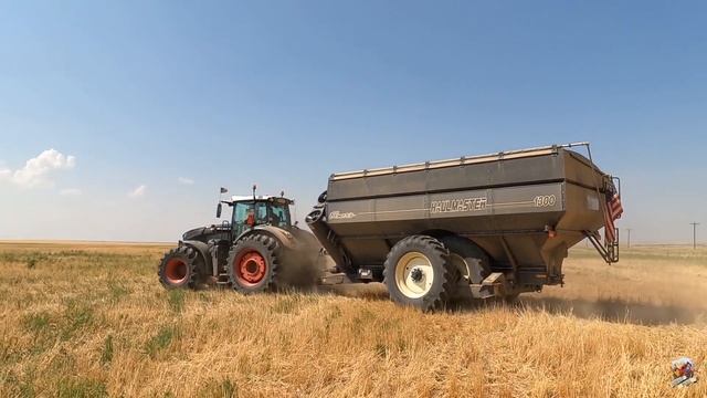 Wheat Harvest near Last Chance Colorado смотреть онлайн