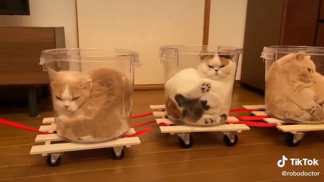 Челноки уходят смотреть онлайн