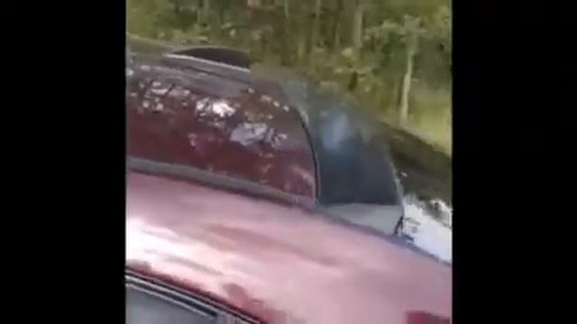 Видео-отзыв о спойлере заднего стекла изготовленного А.Правдиным на EMGRAND EC7 смотреть онлайн