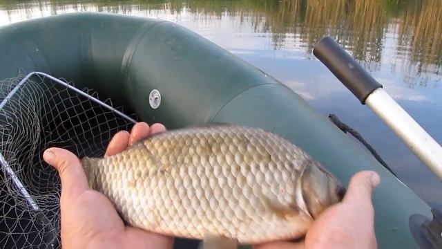 Ловля карася на боковой кивок.На удочку с летним кивком. смотреть онлайн