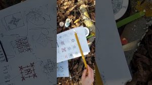 Снять защиты с врагов и закрыть их.Рунический комплекс чисток и защит.Защита"закольцованное зеркало