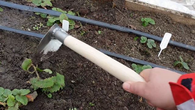 Мальга из воздушки. Зимняя посадка. смотреть онлайн