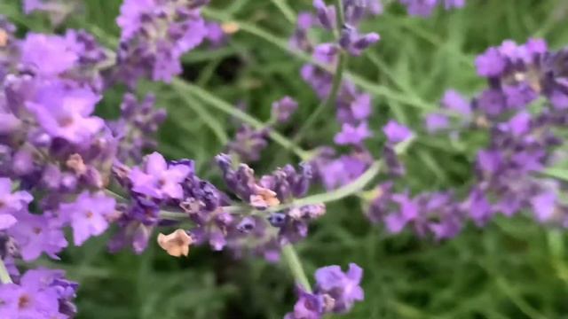 Энергетическое пробуждение