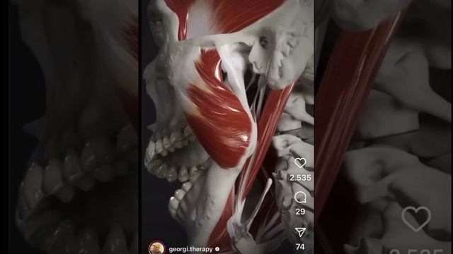 Движения ВНЧС сустава