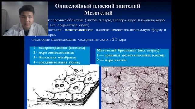 Что такое гистология? Как устроены мельчайшие клетки нашего тела? смотреть онлайн