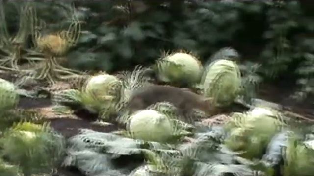 Ч 9 Бабье лето в Елбанке Тётя смотреть онлайн