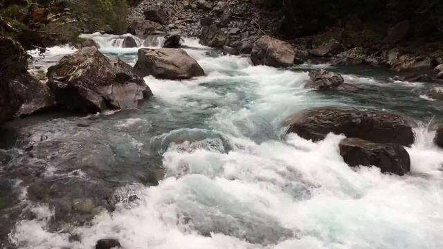 New Zealand Fiordland National Park смотреть онлайн