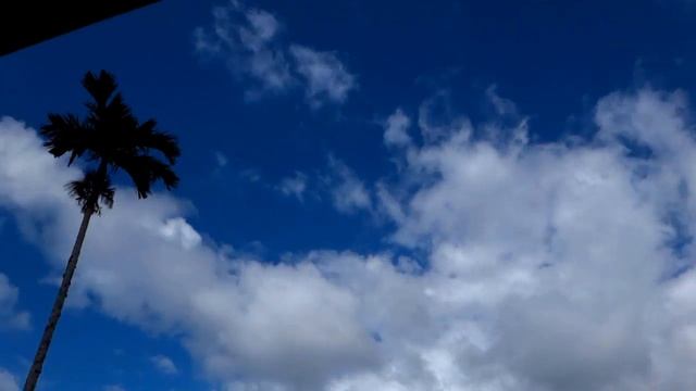 Time Lapse смотреть онлайн