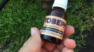 Чем обработать огурцы от вредителей во время плодоношения