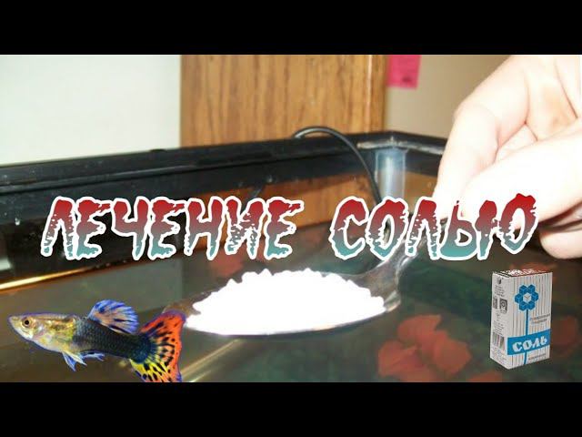 ЛЕЧЕНИЕ АКВАРИУМНЫХ РЫБОК СОЛЬЮ смотреть онлайн