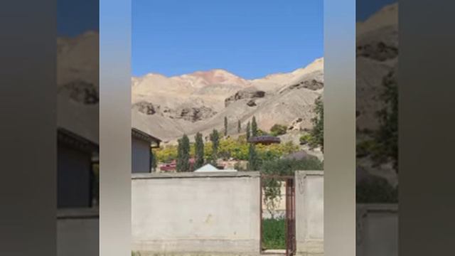 Шавкат Арбобов смотреть онлайн